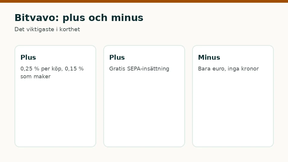 Bitvavo: för- och nackdelar i korthet